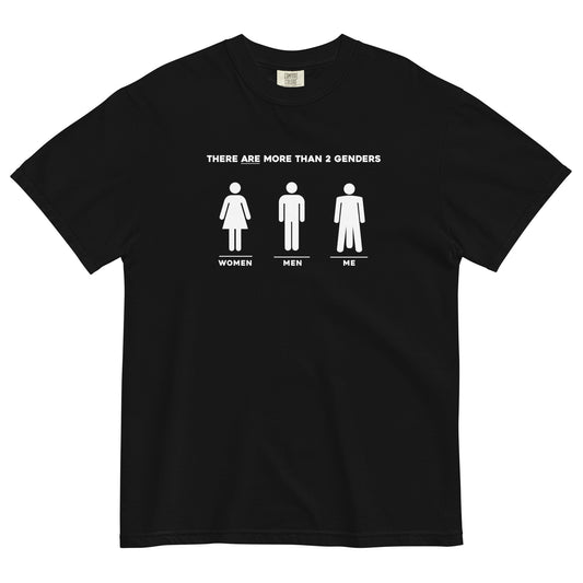 "More Than 2 Genders" Shirt